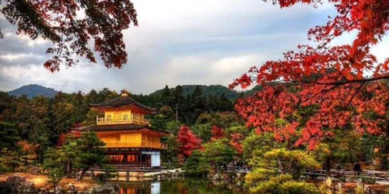Average Wage in Japan: What Workers Earn in 2025