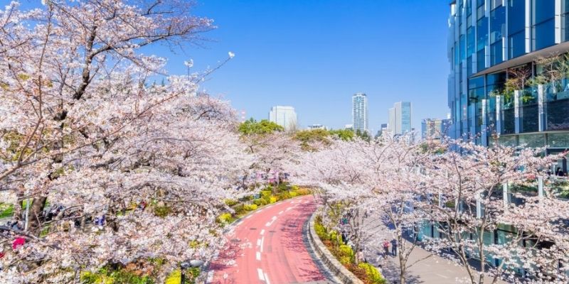 How Foreigners Can Buy Apartment in Tokyo