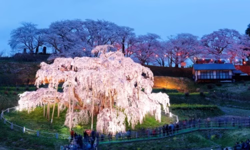 Discover Fukushima Ken Japan: Nature, Culture, and Peaceful Living in One Place