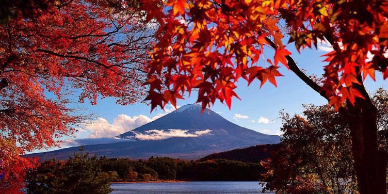 Autumn in Japan: A Complete Guide to Koyo Leaves