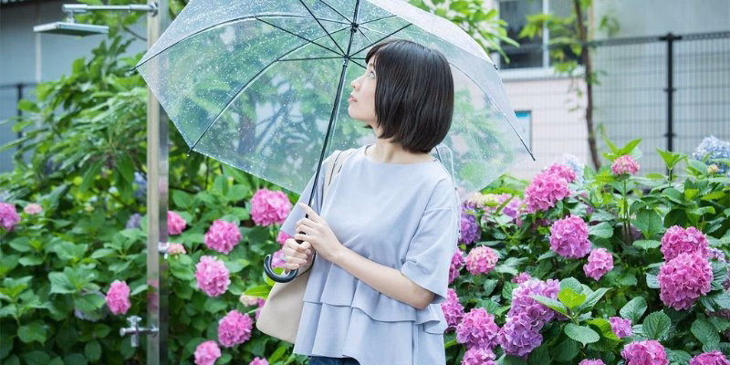 Rainy Season in Japan and Hydrangea – A Complete Travel Guide