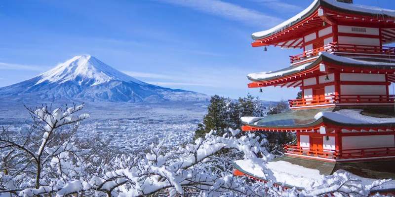Winter in Japan: A Complete Guide to Snow Monkeys