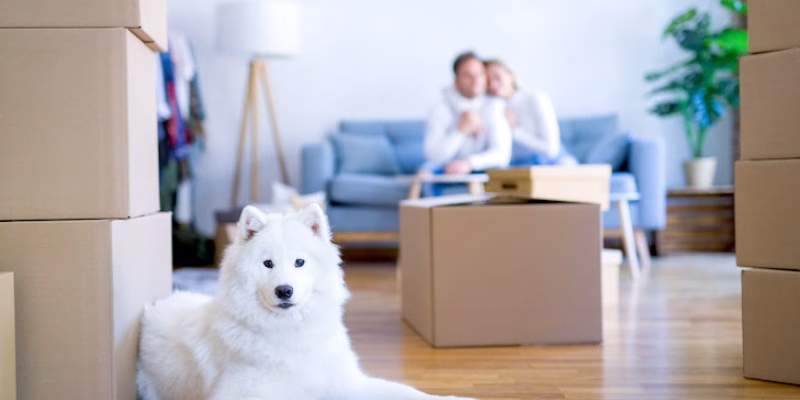 How Common Are Pet-Friendly Apartments in Japan